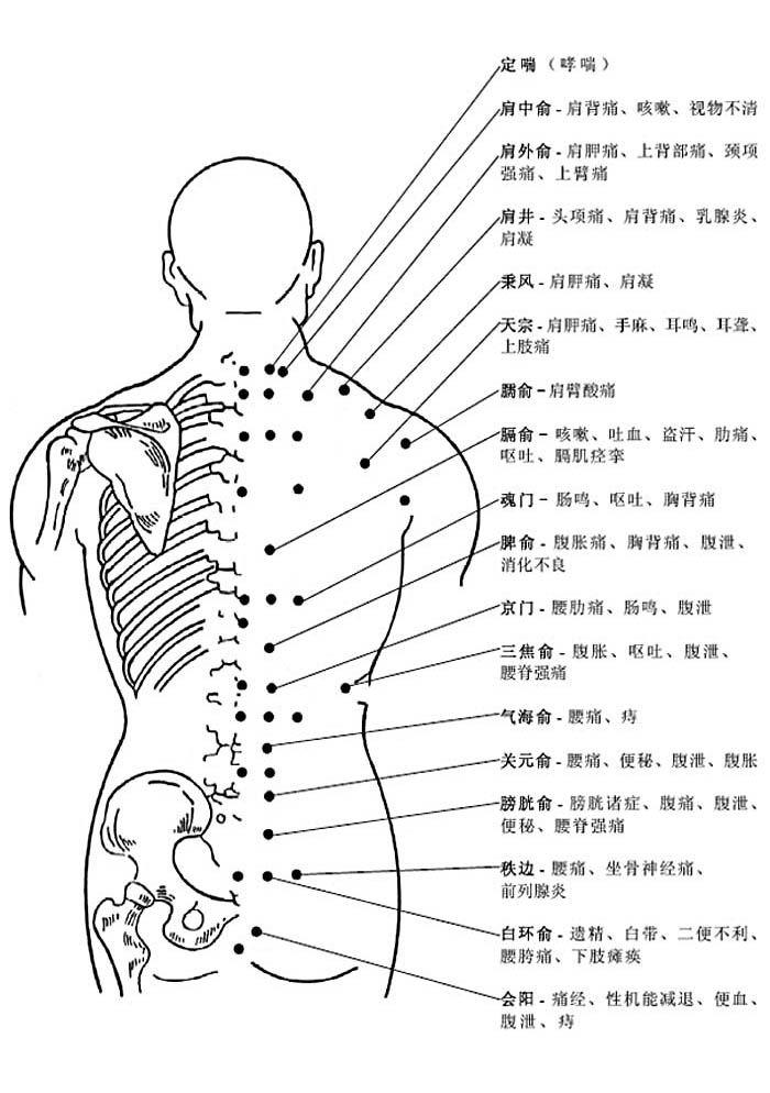 背部穴位和穴位功能