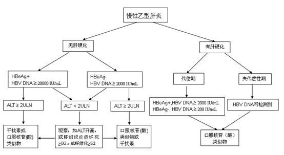 慢性乙型肝炎治療一般流程圖