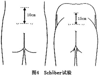 Gyr8is1f.jpg