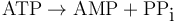 \mbox{ATP} \rightarrow \mbox{AMP} + \mbox{PP}_{\mbox{i}}