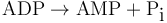 \mbox{ADP} \rightarrow \mbox{AMP} + \mbox{P}_{\mbox{i}}